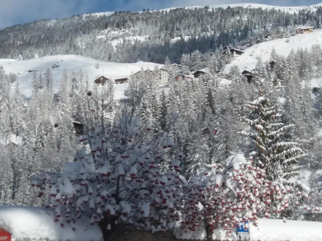 Hotel Piz Ela Bergun Νταβός Εξωτερικό φωτογραφία